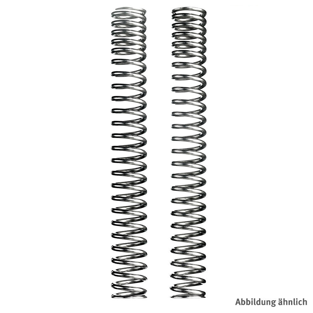 WI Gabelfedern, Triumph, Thunderbird 1600, 09-
