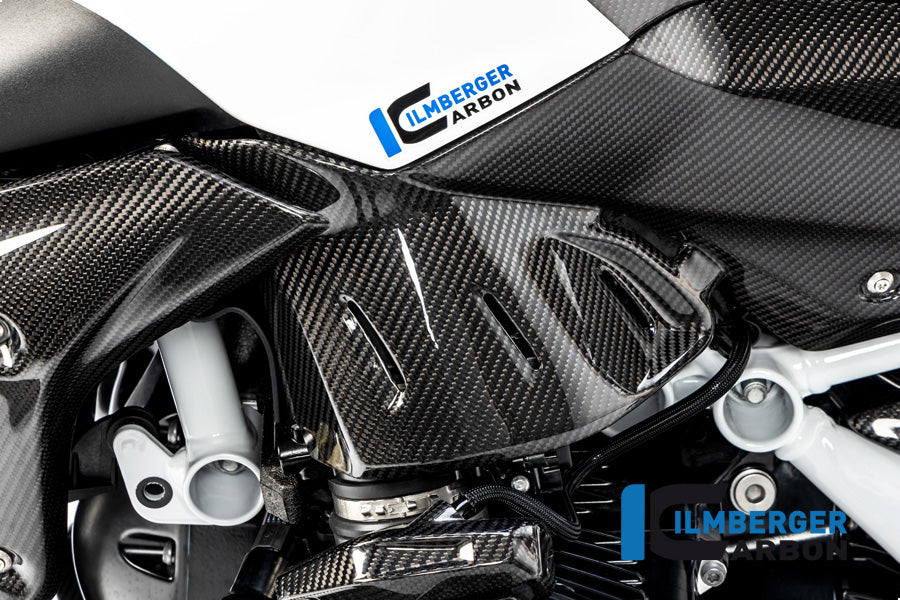Ilmberger Seitendeckel unterm Tank links, Carbon BMW R1250R 2019 | BMW R1250R 2022