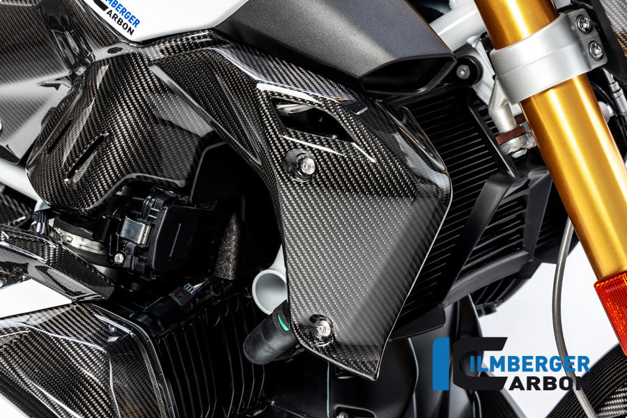 Ilmberger Wasserkühlerabdeckung rechts, Carbon BMW R1250R 2019 | BMW R1250R 2022