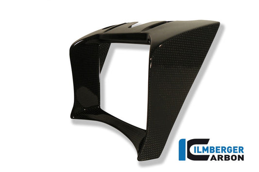 Ilmberger Ölkühlerabdeckung, Carbon BMW R1200R 2011–2014