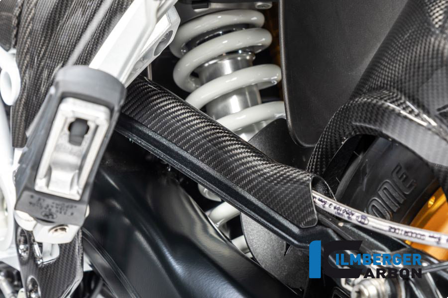 Ilmberger Bremsleitungsabdeckung, Carbon BMW R1250R 2019 | BMW R1250GS 2019 | BMW R1250GS Adventure 2019