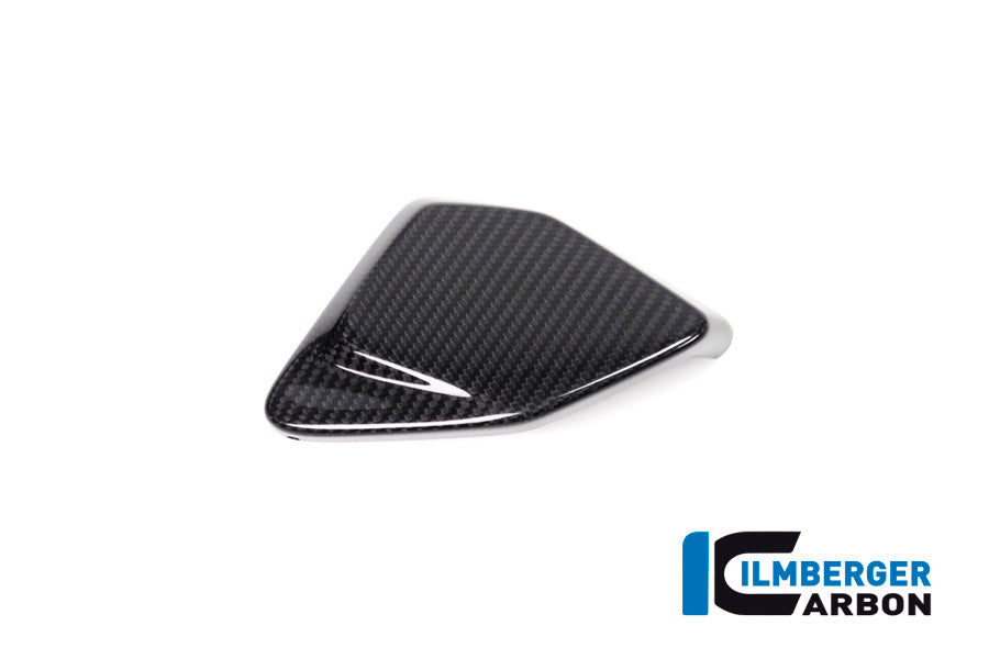 Abdeckung ESA Box, Carbon