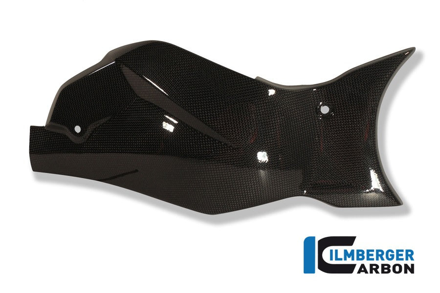 Schwingenabdeckung / Kettenschutz, Carbon