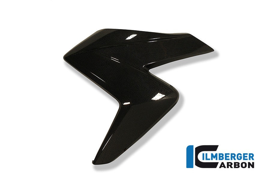 Ilmberger Wasserkühlerverkleidung links, Carbon Honda CB1000R 2008–2016