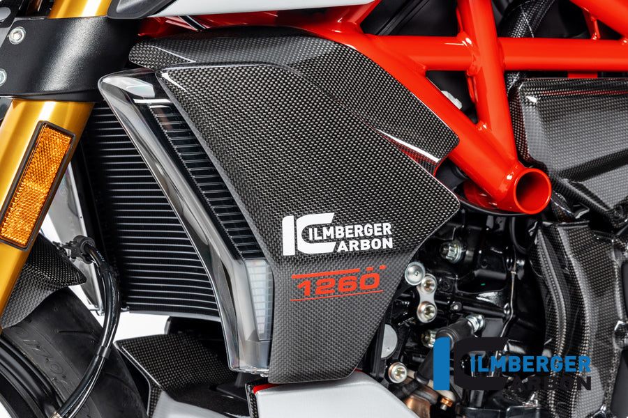 Ilmberger Wasserkühlerverkleidung links Ducati Diavel 1260 2019