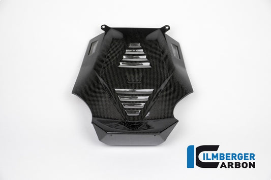 Ilmberger Motorspoiler Mittelteil, Carbon BMW R1200RS 2015–2016 | BMW R1200R 2017 | BMW R1200R 2015–2016
