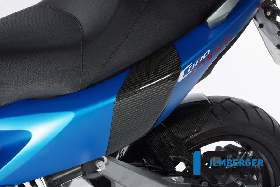 Sturzpads hinten, Carbon