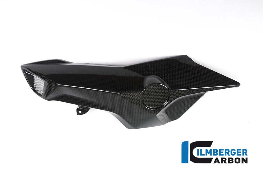 Ilmberger Ansaugrohrabdeckung links BMW F800R 2015