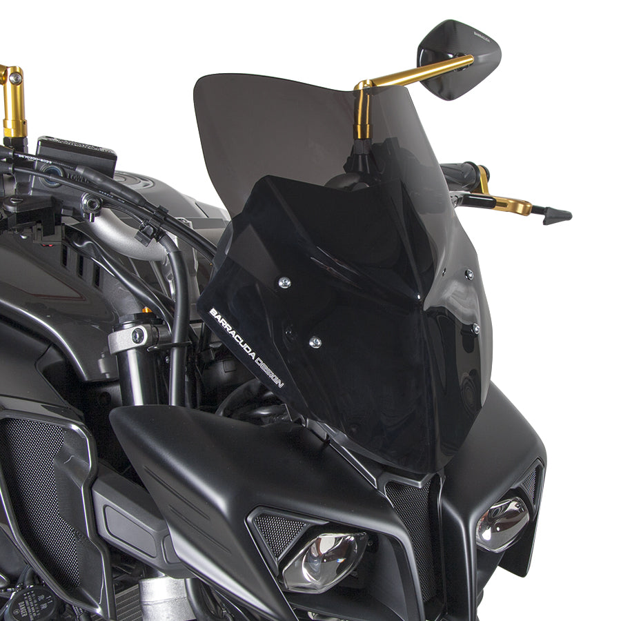 Windschild Plexiglas Yamaha MT10