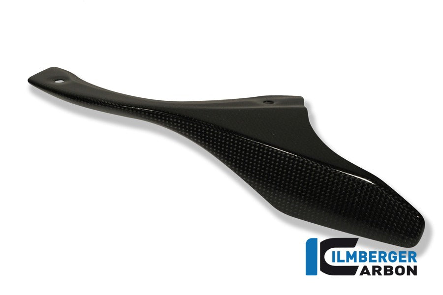Ilmberger Kettenschutz an der Schwinge, Carbon Ducati 1198R 2009–2011 | Ducati 1198 2009–2011 | Ducati 1198S 2008–2011