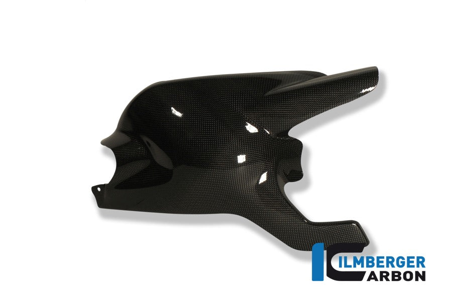 Ilmberger Schwingenabdeckung, Carbon Ducati Monster 1100S 2009–2011 | Ducati Monster 1100 2009–2011 | Ducati Monster 696 2008–2013