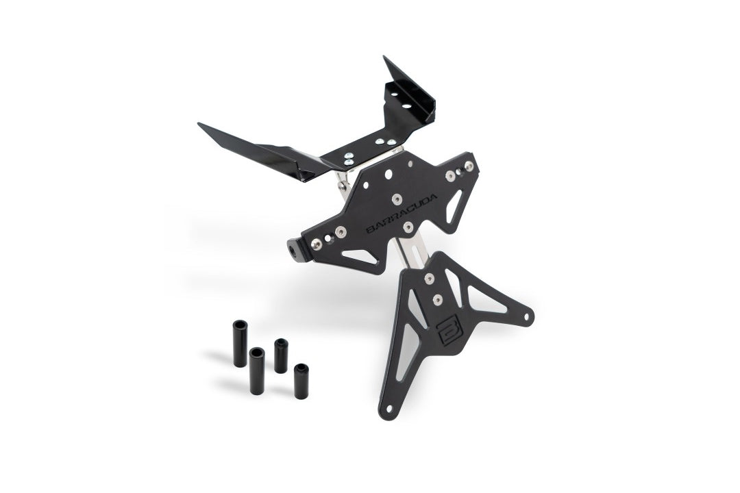 Kennzeichenhalter BMW R1250GS