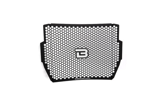 Kühlerverkleidung Triumph Street Triple 765  2017-