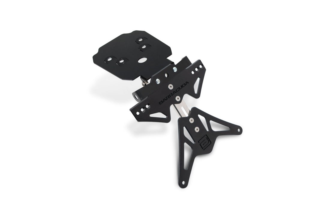 Kennzeichenhalter Triumph Speed Triple 2011-2015