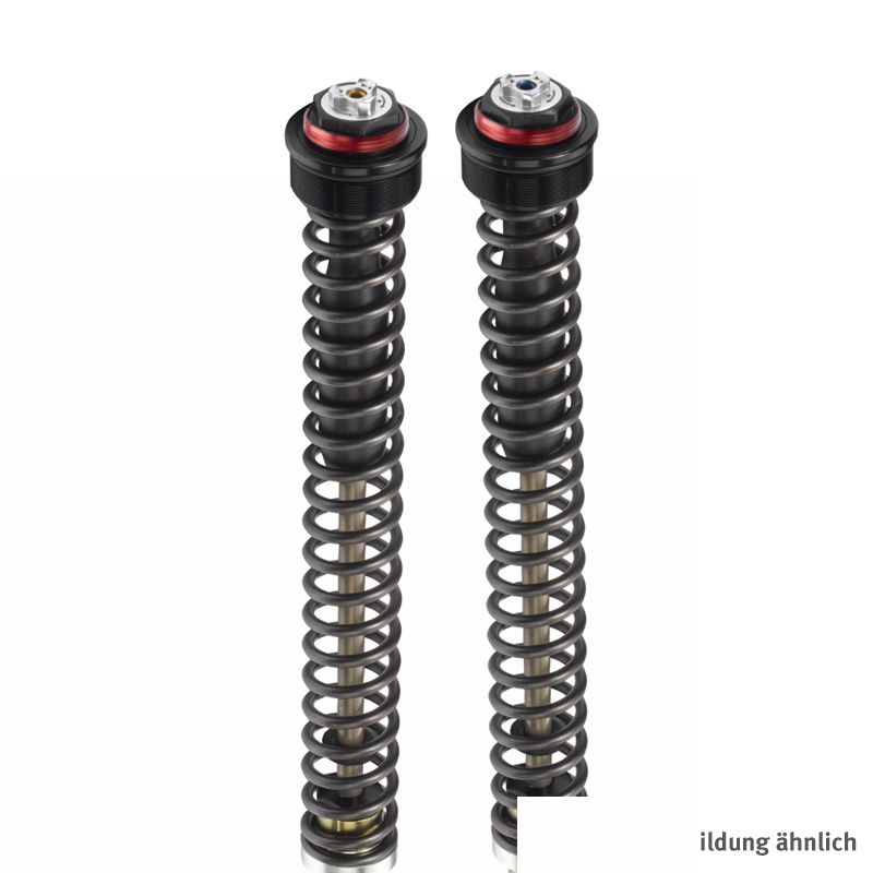 BITUBO JBH Cartridge-Kit für Yamaha Tenere 700