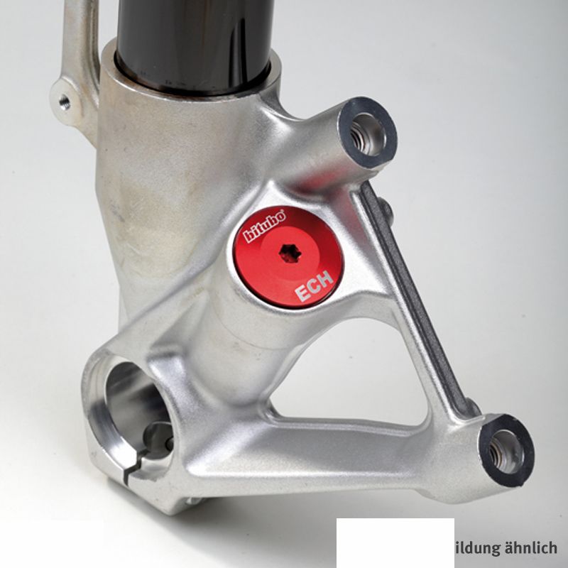 Verschlußstopfen mit Dichtungen ECH29