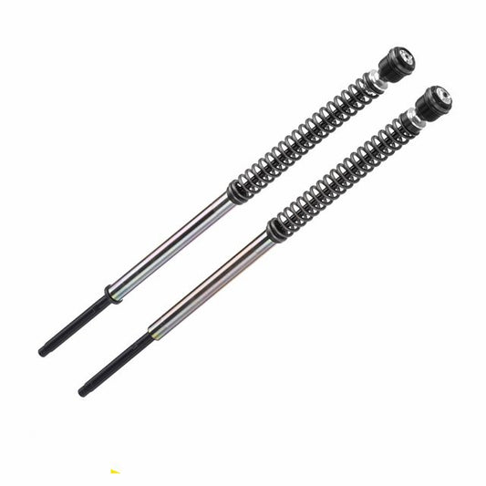 BITUBO JBH Gabeldämpfer-Kit für Harley Davidson