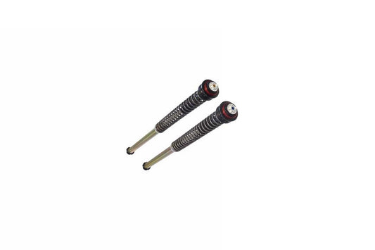 BITUBO Cartridge-Kit für CF 450 SR