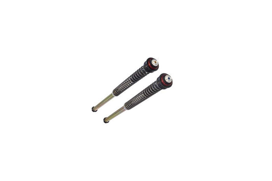 BITUBO Cartridge-Kit für CF 450 SR