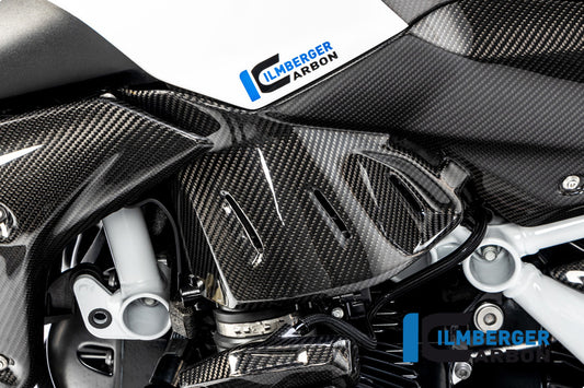 Ilmberger Seitendeckel unterm Tank links, Carbon BMW R1250R 2019 | BMW R1250R 2022