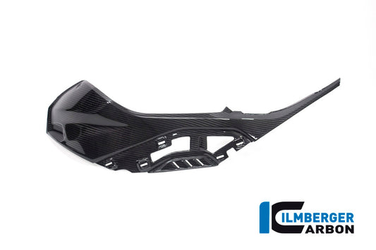 Ilmberger Seitendeckel links am Tank, Carbon BMW S1000RR 2019 | BMW S1000RR 2021 | BMW S1000R 2021
