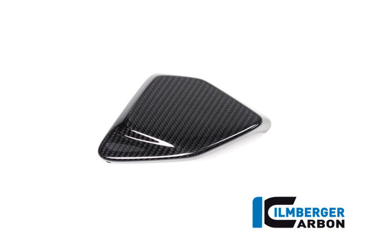 Abdeckung ESA Box, Carbon