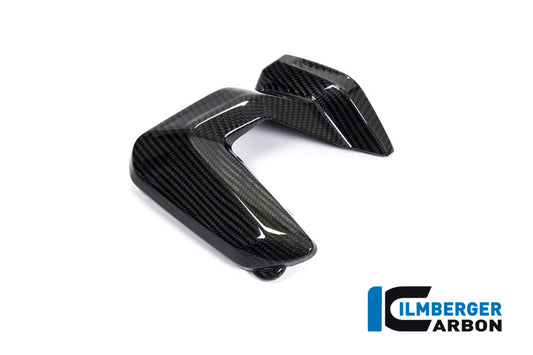 Ilmberger Zündkerzenstecker Abdeckung rechts, Carbon BMW R1250GS Adventure 2019 | BMW R1250GS 2019 | BMW R1250R 2019