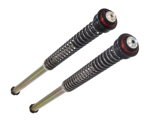 BITUBO Cartridge-Kit für Ducati 848 Streetfighter