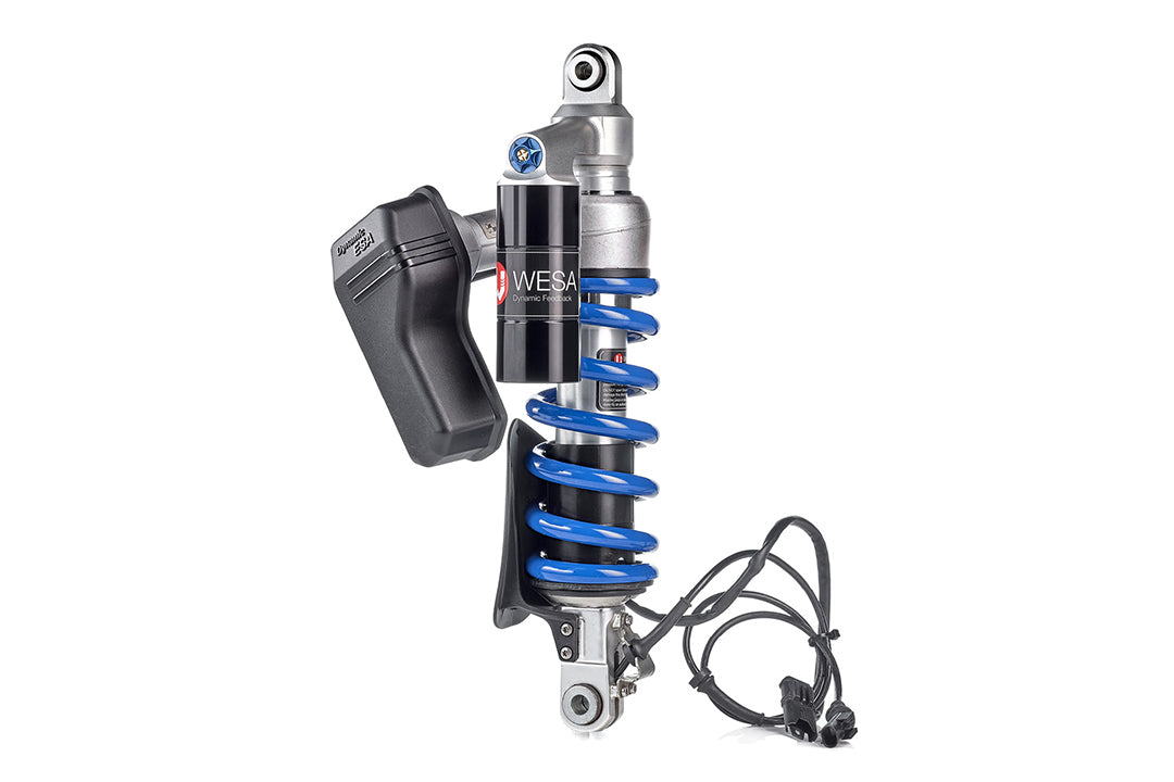 WI 644 WESA Federbein BMW F900R