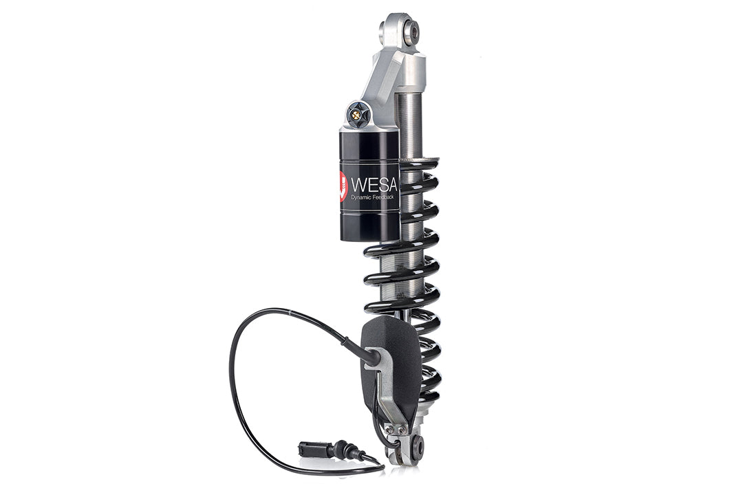 WI 634 WESA Federbein vorne BMW R1200GS (LC)