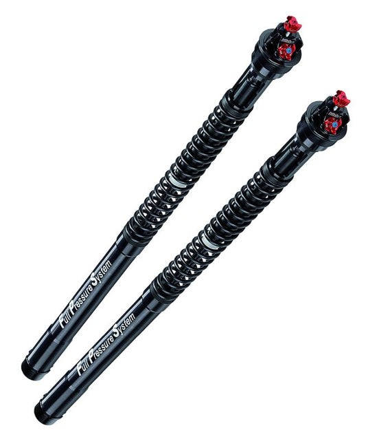 BITUBO Gabeldämpfer-Kit für Yamaha YZF-R1 RN32