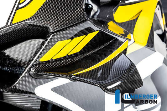 Ilmberger Winglet links glanz Ducati Panigale V4 R Ducati Panigale V4 2019 | Ducati Panigale V4 2020–2021