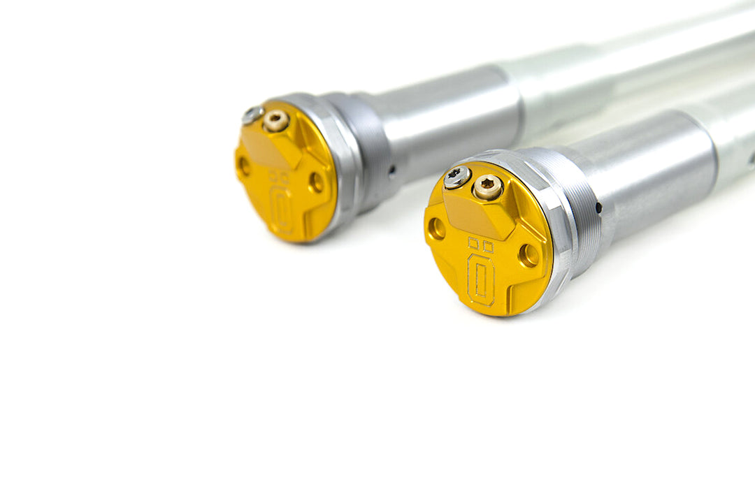 Öhlins Cartridge TTX22 FCX 0101