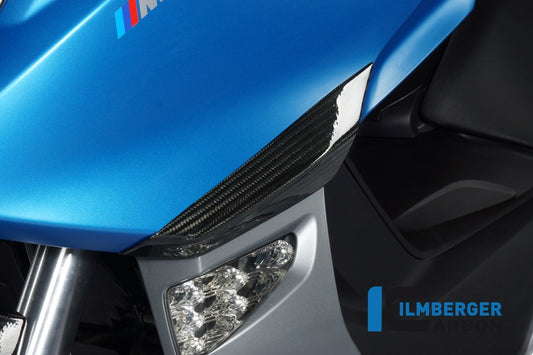 Ilmberger Sturzpads vorne, Carbon BMW C600 Sport 2012–2016 | BMW C600 Sport 2012–2015
