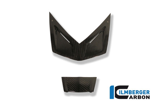 Ilmberger Verkleidungsabdeckungen am Licht, Carbon BMW K1300S 2009–2015