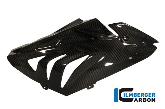 Verkleidungsseitenteil Racing 2012, Carbon