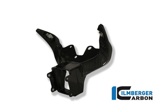 Ilmberger Verkleidungshalter / Instrumententräger, Carbon BMW S1000RR 2010–2011 | BMW S1000RR 2012–2014