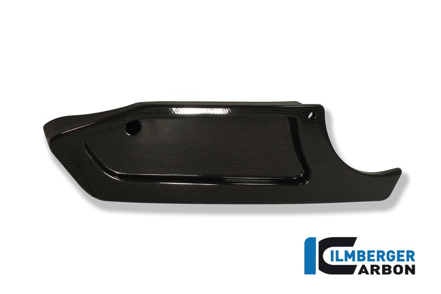 Riemenabdeckung u.d. Schwinge, Carbon