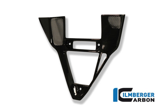 Ilmberger Verkleidungseinsatz, Carbon Ducati 749 2002–2006 | Ducati 999 2002–2006