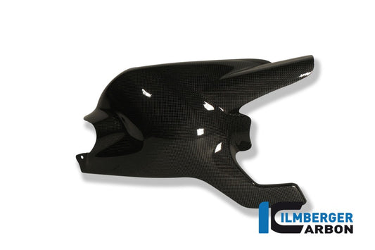 Ilmberger Schwingenabdeckung, Carbon Ducati Monster 1100S 2009–2011 | Ducati Monster 1100 2009–2011 | Ducati Monster 696 2008–2013