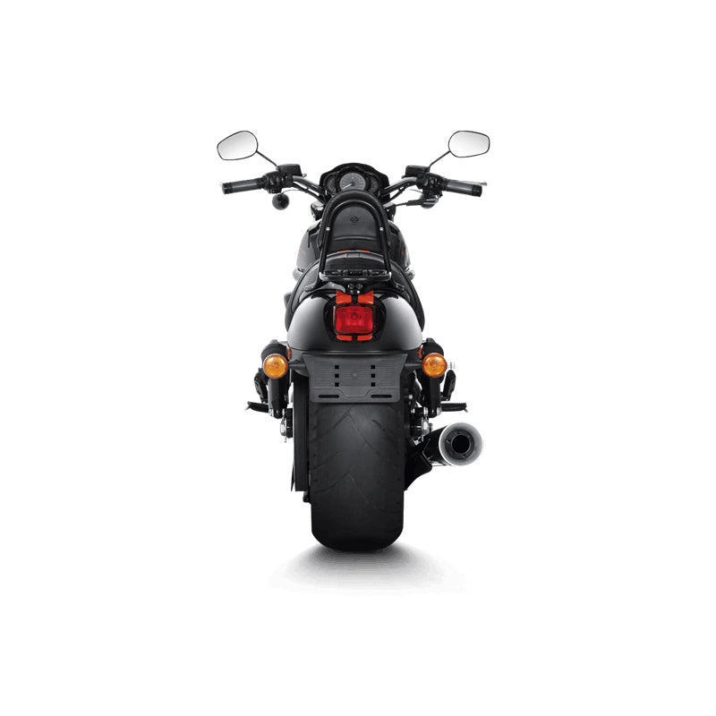 Akrapovic Open Line 10th A.E. Harley-Davidson V-Ro