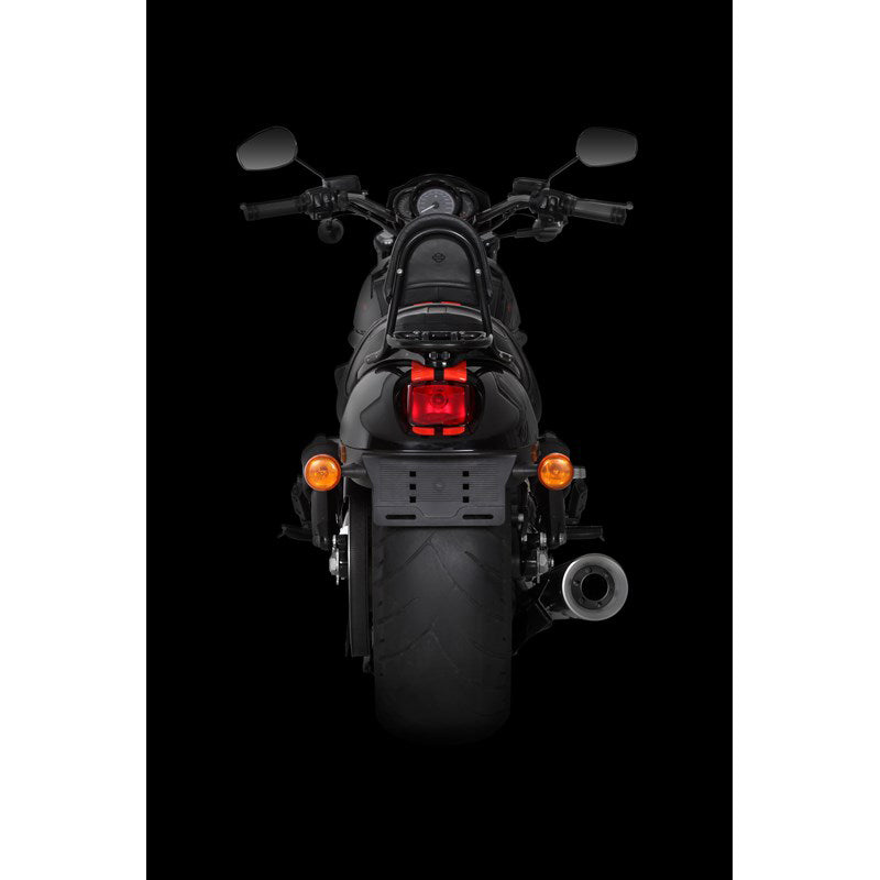 Akrapovic Open Line 10th A.E. Harley-Davidson V-Ro